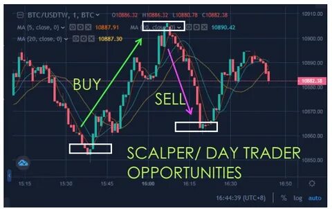 Crypto Daybook Americas: Carnage in BTC and Altcoins a Warning Sign for Equities - TradingView