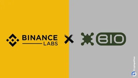 What Is BIO Protocol: A Binance Labs-Backed DeSci Project - CoinGecko