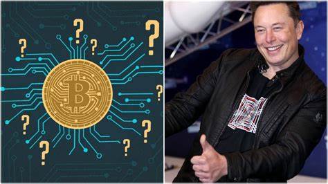 Paulgrewal.eth Inquires Elon Musk's Insights on Cryptocurrency Market Movements - Blockchain.News