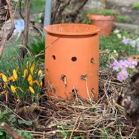 INSECT CITY insect hotel - wormup.ch