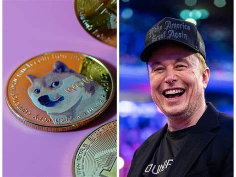 How Elon Musk’s DOGE Is Reshaping the US Government