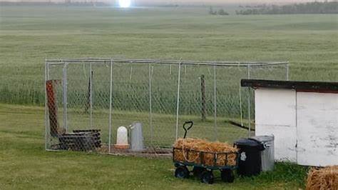 'Never seen this before': Mysterious orb of light filmed in Alberta