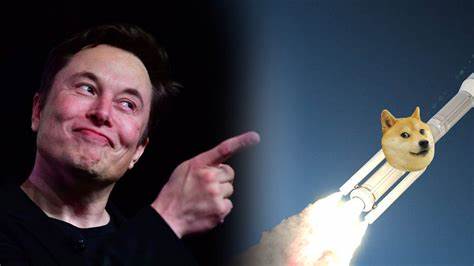 Elon Musk’s DOGE to Use Blockchain to Show Public TAX Money Spending, Bitwise Plans $DOGE ETF - Binance