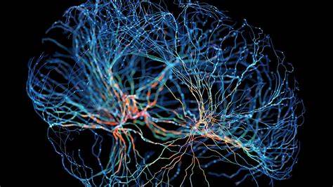 What are memories made of? A survey of neuroscientists