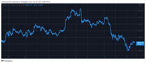 Bitcoin Hits $58K While Mid and Large Wallets Stall, Wen New ATH? - The Crypto Basic