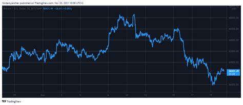 Bitcoin Hits $58K While Mid and Large Wallets Stall, Wen New ATH? - The Crypto Basic