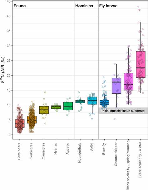 Neanderthals, hypercarnivores, maggots: Insights from stable nitrogen isotopes