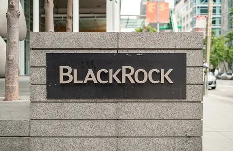 What is BlackRock?