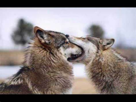 lllllllllllllllllllllllllllllllllllllllllllllllllllllllllllllllllllllll 