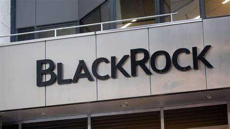 BlackRock buys shares of two companies for Rs 207 crore via open market - Business Standard