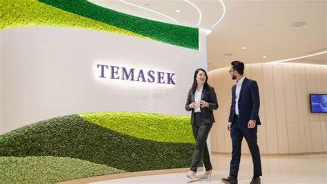 Temasek's portfolio value hits record high; says US risks likely peaked