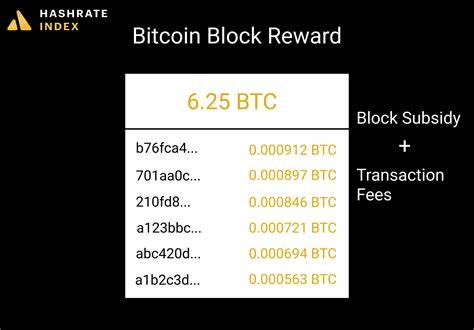 AI mining method for Bitcoin increases reward chance 260% by calculating future blocks - CryptoSlate