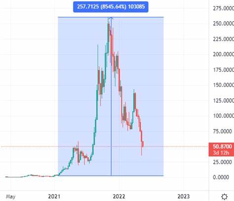 Up 500% Over the Past Year, Is Solana a Buy? - Yahoo Finance