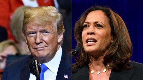 Trump Vs Harris: Which President Would Be More Favorable To Your Crypto Investments? - Cointribune EN