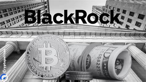 BlackRock Bitcoin ETF Options to Set Stage for GameStop-Like 'Gamma Squeeze' Rally, Bitwise Predicts - CoinDesk