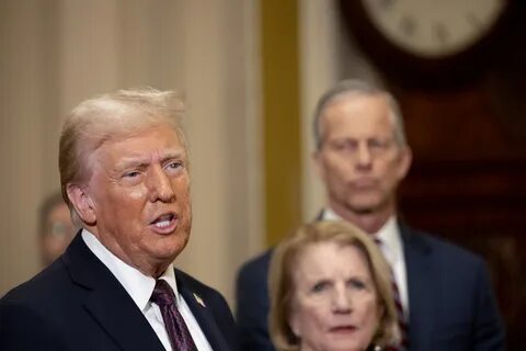 Trump Is Packing His Cabinet With Crypto, Oil and Private Prison Profiteers - Truthout