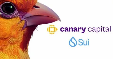 Canary Capital Files Sixth Crypto ETF, Eyes Spot Sui Approval - 99Bitcoins