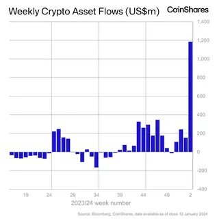Volume 220: Digital Asset Fund Flows Weekly Report | by James Butterfill | Feb, 2025 - CoinShares Research Blog