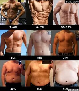 Researchers uncover molecular connection between body fat and anxiety