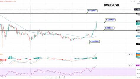 Dogecoin Doge Price USD