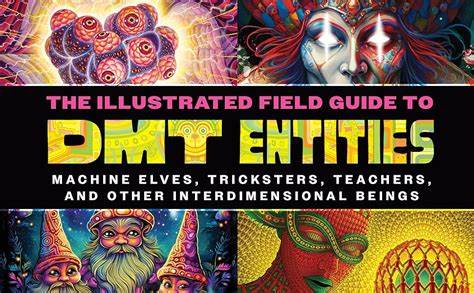 Psychedelic privilege: are DMT entities racist?