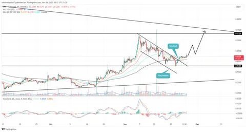 XRP Price Will Hit $120, “Melt Faces” According to This Expert Analyst - CoinGape