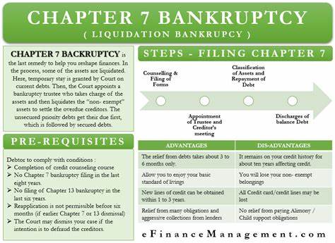 CaaStle Files for Chapter 7 Bankruptcy, Setting Up Liquidation