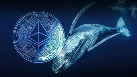 Ethereum whales are clearly set to harvest, don't be cannon fodder! - Binance