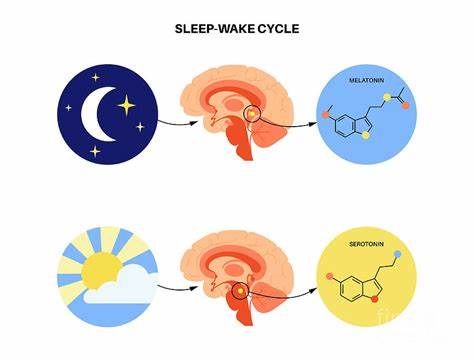 How the brain wakes up from sleep – and produces that morning feeling