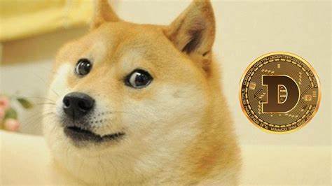 Dogecoin in 2024: Meme Coin or Serious Contender? - Criptonizando