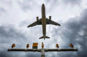 How the WSJ Analyzed More Than One Million FAA Reports