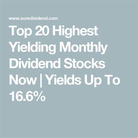 2 Reliable Dividend Stocks With Yields Above 5% to Buy Now and Hold Forever