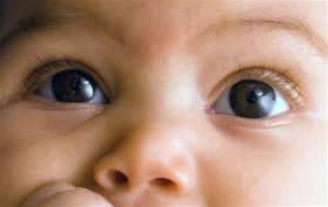 How Opus and o3 saved me from permanent blindness