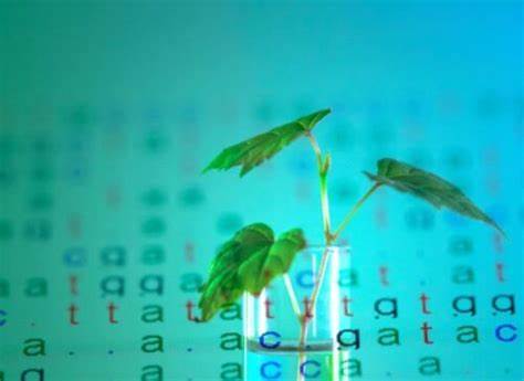 De-Extinction vs. Conservation: Why Saving Plants Today Matters Most