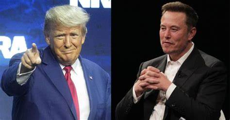 Could Elon Musk Joining The Trump Administration Spark The Next Crypto Bull Run? - The Cryptonomist