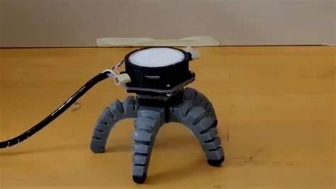 Mushroom learns to crawl after being given robot body