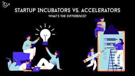 Ask HN: How do accelerators/VC track internal operations across startups?