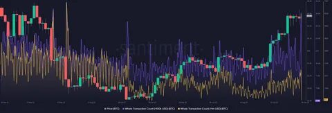 Bitcoin’s CPI turns positive after 10 days – What does it mean for prices? - AMBCrypto News