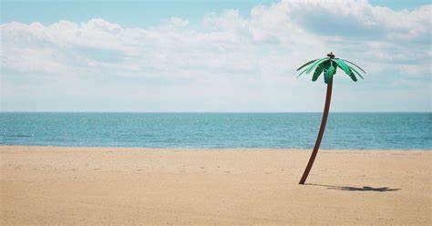 Bitcoin Beach’s Pioneering Circular Economy Is Making a Global Impact - CoinDesk
