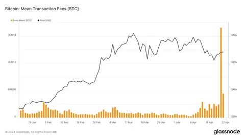 Bitcoin Transaction Fees Dropped from a $146 High Post-Halving - BeInCrypto