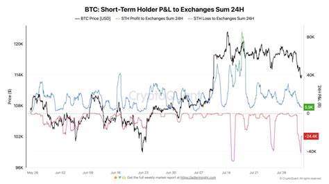  Bitcoin hodlers 'bleed' as Binance daily inflows near 7K BTC 