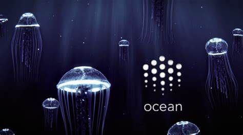 7 'Best' Exchanges to Buy Ocean Protocol (September 2024) - Securities.io