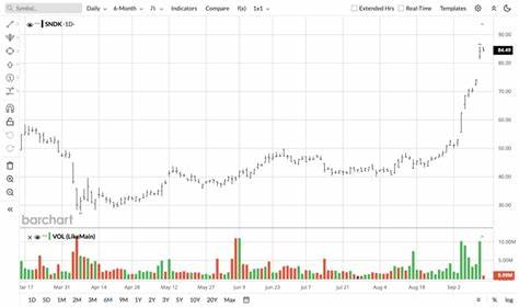 2 ‘Pick and Shovel’ Stocks to Buy as the AI Boom Keeps Raging On