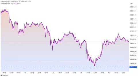Bitcoin price rises ahead of Trump crypto summit