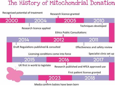 Mitochondrial donation: the pioneering IVF treatment giving families hope