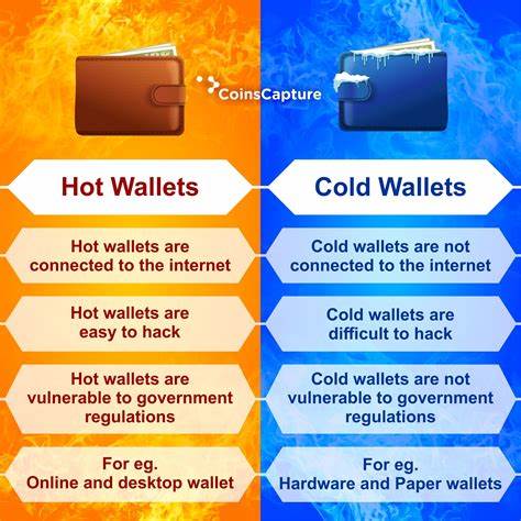 Hot vs. Cold Crypto Wallets: What Are the Differences? - CoinDesk