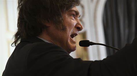 Milei blames Musk Nazi salute scandal on ‘international wokism’ - Buenos Aires Herald