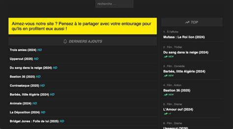 Rogzov : que propose vraiment cette plateforme de streaming