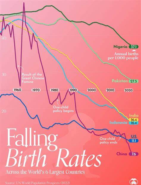 Do falling birth rates matter in an AI future?