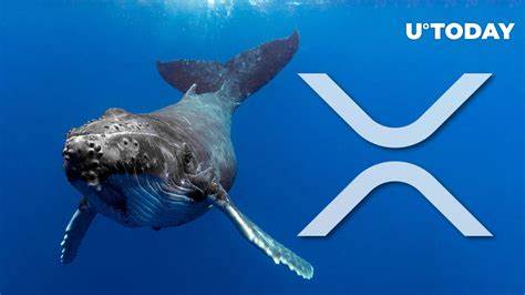 Extreme Surge in XRP Whales Spotted - U.Today